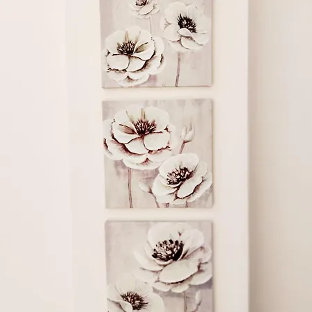 Апартаменты Ellie's Guesthouse, *